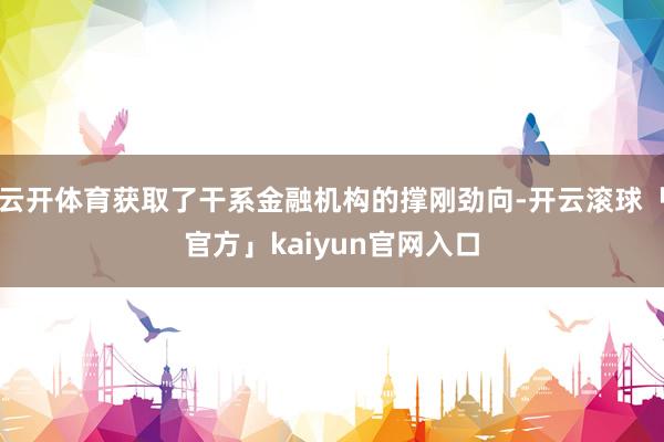 云开体育获取了干系金融机构的撑刚劲向-开云滚球「官方」kaiyun官网入口