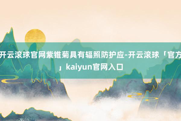 开云滚球官网紫锥菊具有辐照防护应-开云滚球「官方」kaiyun官网入口